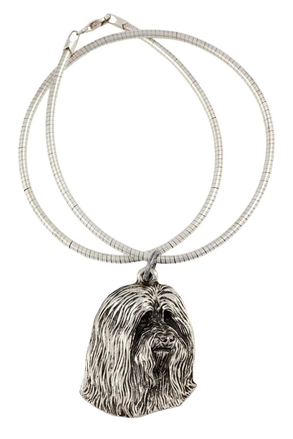 Bearded Collie, Highland Collie - ett halsband med en hund, unika smycken för en hundfantast, ett unikt hänge på en orm från Art-Dog