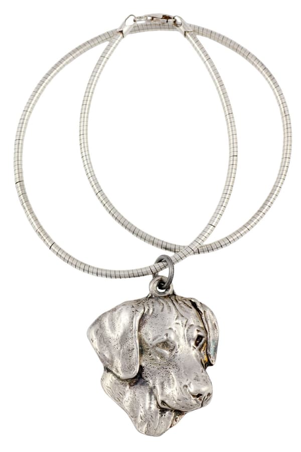 Rhodesian Ridgeback, afrikansk lejonhund - halsband med en hund, unika smycken för en hundfantast, unikt Art-Dog huggormhänge