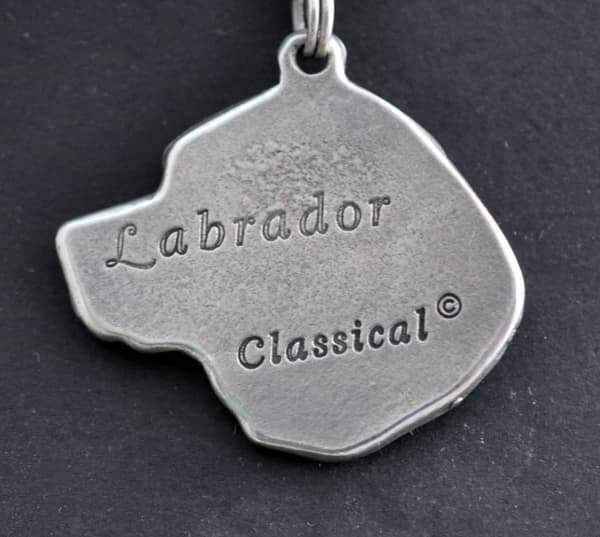 Labrador Retriever - ett halsband med en hund, unika smycken för en hundfantast, ett unikt hänge på en orm från Art-Dog