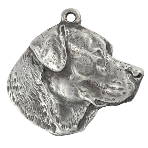Labrador Retriever - ett halsband med en hund, unika smycken för en hundfantast, ett unikt hänge på en orm från Art-Dog