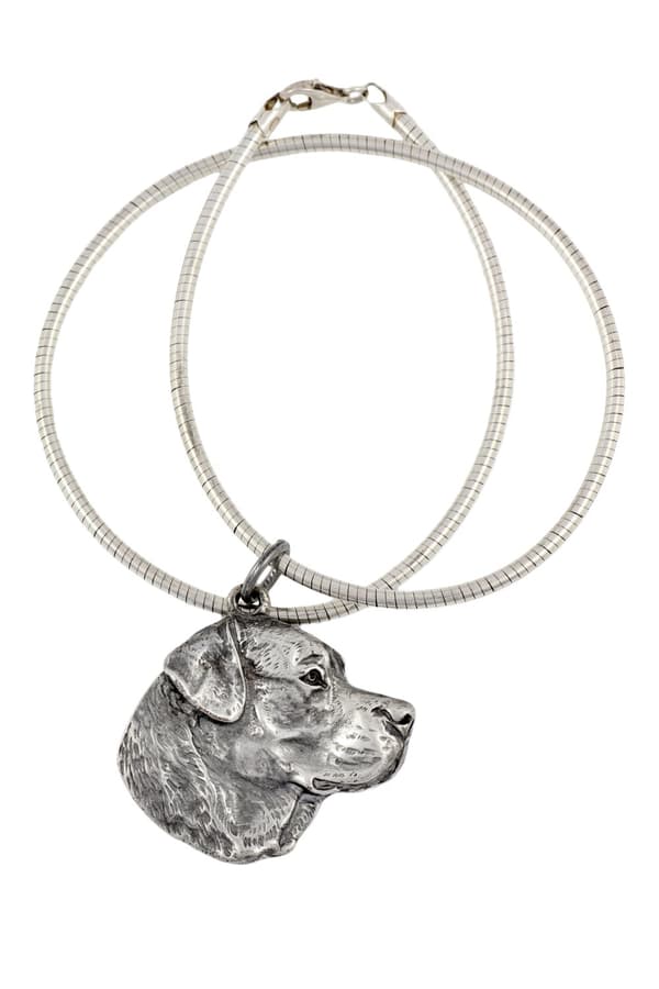 Labrador Retriever - ett halsband med en hund, unika smycken för en hundfantast, ett unikt hänge på en orm från Art-Dog