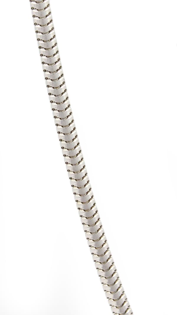 St. Bernard, hund från St. Bernarda - ett halsband med en hund, unika smycken för en hundfantast, ett unikt hänge på en orm av Art-Dog