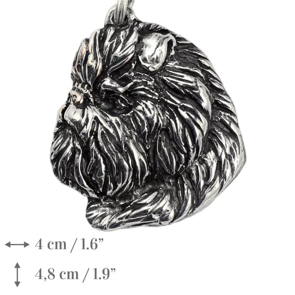 Apinapinseri, Affenpinscher - kaulakoru koiran kanssa, ainutlaatuisia koruja koirafanille, ainutlaatuinen Art-Dogin riipus käärmeessä