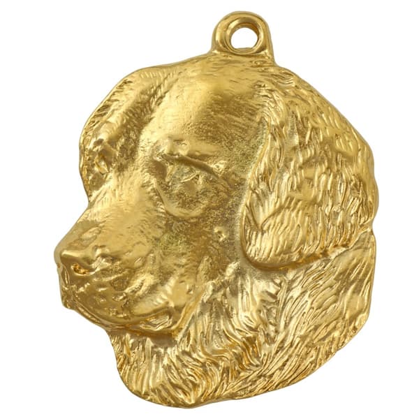 Golden Retriever - halsband med en hund i presentask, guldpläterat hänge för en hundfantast, iögonfallande Art-Dog-smycken