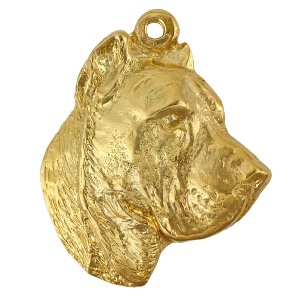 Presa Canario, Tanskan dogi - kaulakoru koiran kanssa lahjarasiassa, kullattu riipus koirafanille, katseenvangitsija Art-Dog-korut