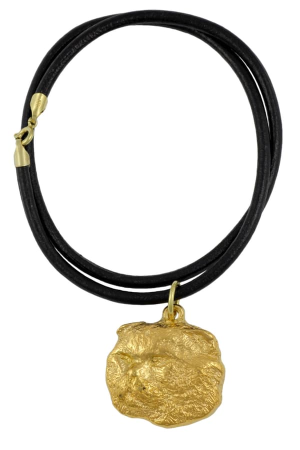 Katt - halsband med en katt i presentask, guldpläterat hänge för en kattfantast, imponerande smycken från märket Art-Dog