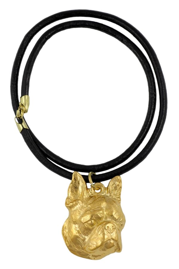 Boston Terrier, Boston Bull Terrier - halsband med en hund i presentförpackning, guldpläterat hänge för en hundfantast, iögonfallande Art-Dog-smycken
