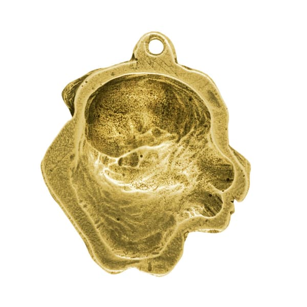 Tosa Inu, Tosa-inu, Japanese Mastiff - halsband med en hund i presentask, guldpläterat hänge för en hundfantast, iögonfallande Art-Dog-smycken