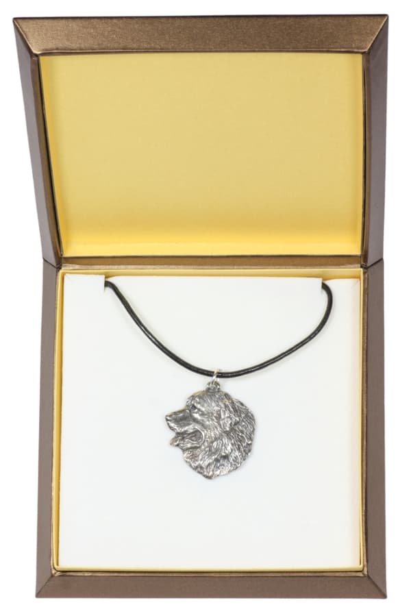 Berninpaimenkoira, Berninpaimenkoira I - kaulakoru koiralla lahjarasiassa, hopeoitu medaljonki koiran fanille, katseenvangitsija Art-Dogin riipus