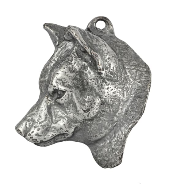 Shiba Inu - ett halsband med en hund i en presentask, en silverpläterad medaljong för en hundfantast, ett iögonfallande hänge från Art-Dog