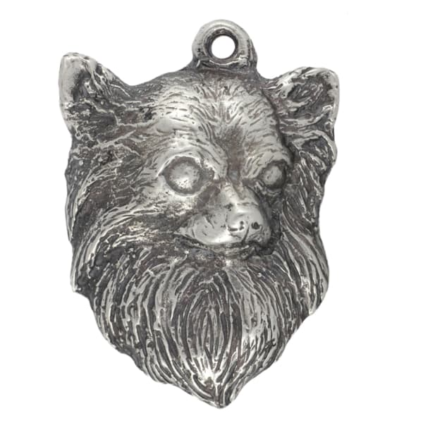 Långhårig Chihuahua - halsband med en hund i presentask, silverpläterad medaljong för en hundfantast, iögonfallande hänge från Art-Dog