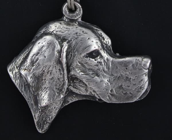 Pointer - en halskæde med en hund i en gaveæske, en sølvbelagt medaljon til en hundefan, et iøjnefaldende Art-Dog vedhæng