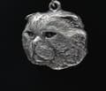 Pikkukuva 3 / 8: Kissa - kaulakoru kissalla lahjarasiassa, hopeoitu medaljonki kissafaneille, katseenvangitsija Art-Dogin riipus