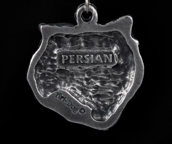 Persisk - halsband med en katt i presentask, silverpläterad medaljong för en kattfantast, iögonfallande hänge från Art-Dog