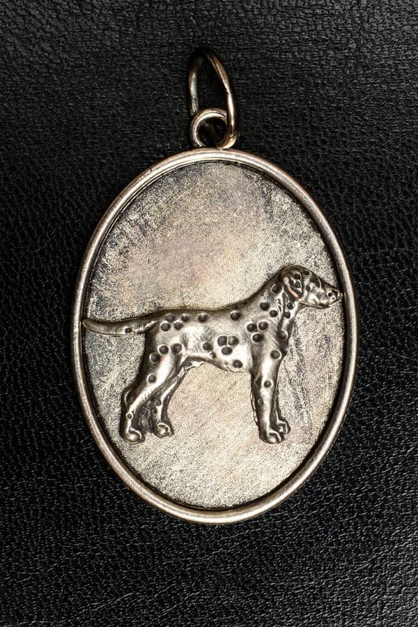 Dalmatian, Dalmatian Pointer - kaulakoru koiran kanssa, riipus koiran äidille, ainutlaatuiset Art-Dog korut