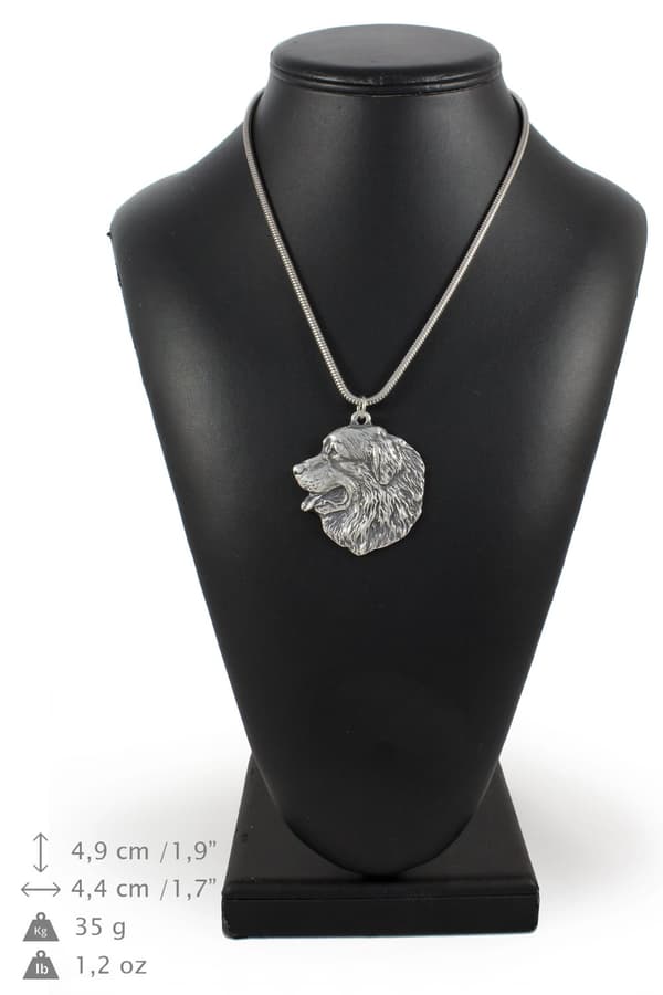 Berner Sennenhund, Berner Sennenhund I - halsband med hund, hundhänge på silverkedja, unika Art-Dog smycken