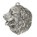 Miniatyrbild 7 av 8: Berner Sennenhund, Berner Sennenhund I - halsband med hund, hundhänge på silverkedja, unika Art-Dog smycken