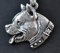 Pikkukuva 2 / 8: Amerikkalainen staffordshiren terrieri, Amstaff, Amstaf I - kaulakoru koiralla, koiran riipus hopeaketjussa, ainutlaatuiset Art-Dog korut