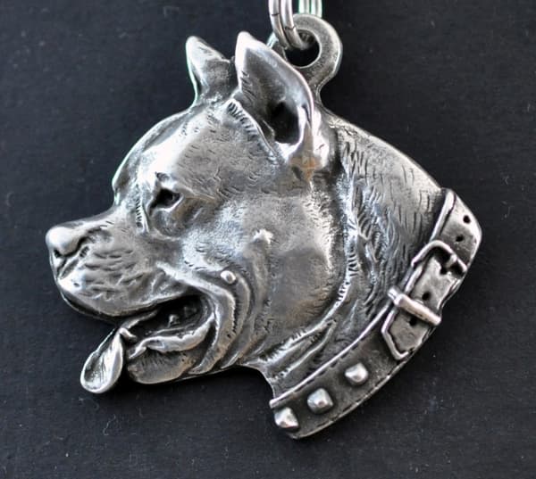 Amerikkalainen staffordshiren terrieri, Amstaff, Amstaf I - kaulakoru koiralla, koiran riipus hopeaketjussa, ainutlaatuiset Art-Dog korut
