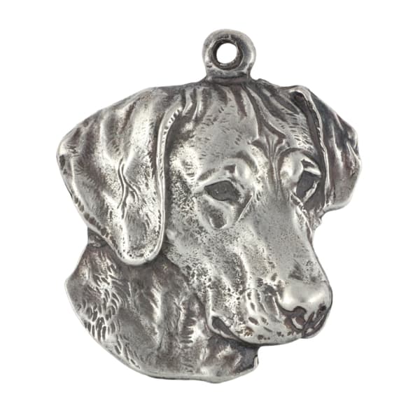 Rhodesian Ridgeback, afrikansk lejonhund - halsband med en hund, hundhänge på en silverkedja, unika Art-Dog-smycken