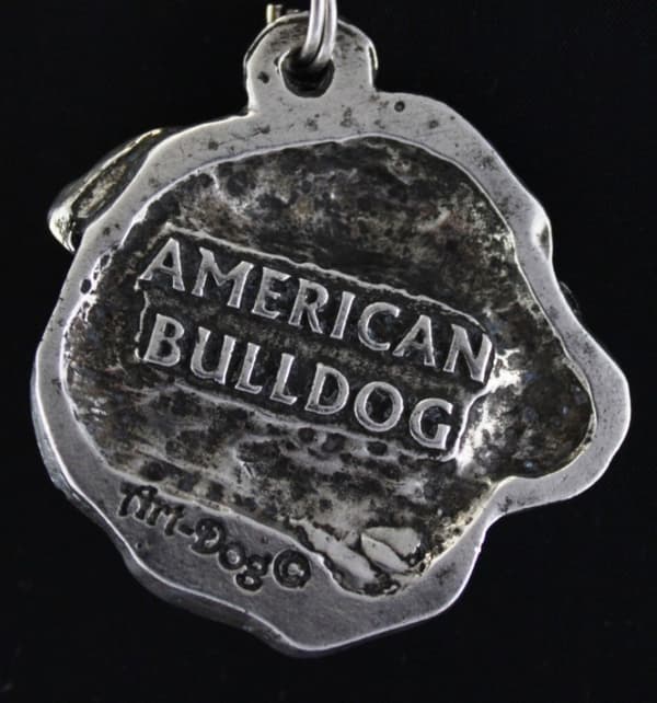 Amerikkalainen bulldog - kaulakoru koiran kanssa, koiran riipus hopeaketjussa, ainutlaatuiset Art-Dog-korut