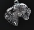 Pikkukuva 2 / 8: Tšekkiterrieri, ceskyterrieri - kaulakoru koiran kanssa, koirariipus hopeaketjussa, ainutlaatuiset Art-Dog-korut