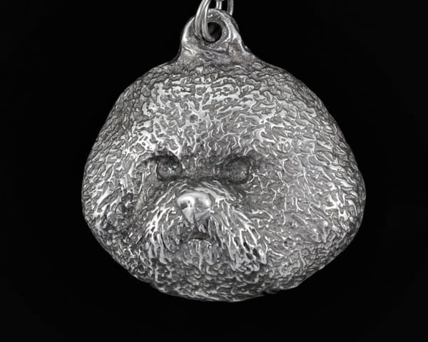 Bichon Frise, Tenerife Dog - halskæde med en hund, hundevedhæng på en sølvkæde, unikke Art-Dog smykker
