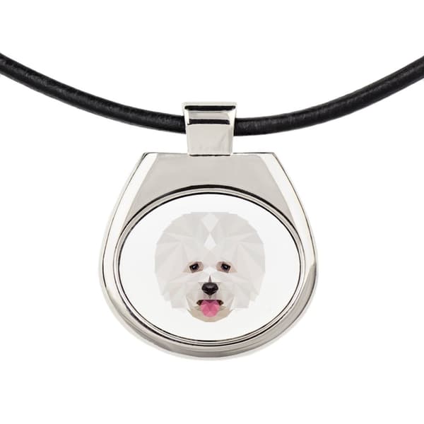 Bichon Frise, Teneriffa Dog - halsband med ett foto och en geometrisk inskription av Art-Dog