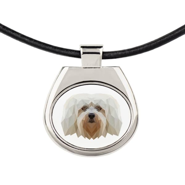 Havanese, Havanese - halsband med ett foto och en geometrisk inskription av Art-Dog