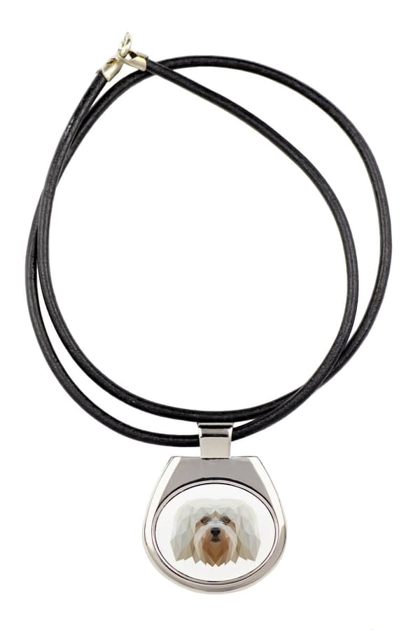Havanese, Havanese - halsband med ett foto och en geometrisk inskription av Art-Dog