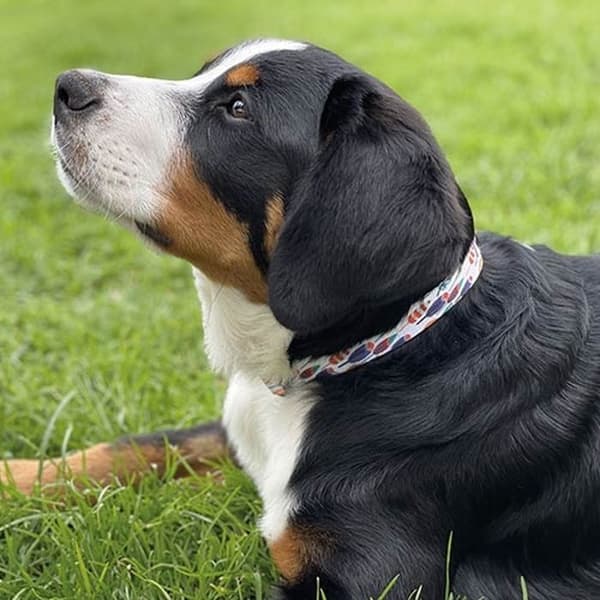 Collier fantaisie och fjädrar Collier fantaisie i fjädrar S
