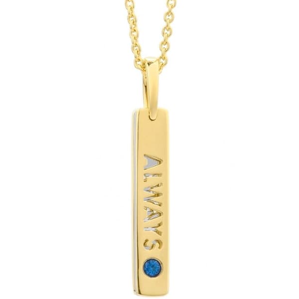 Collier - Hemlighet - P7162CDAWWC03 - Silverfärgad metall - Kristall - Minimalistisk design