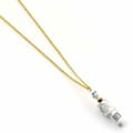 Miniatyrbild 4 av 5: Harry Potter Skelegro necklace