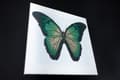Miniatyrbild 4 av 7: Pärlbroderi Brodera efter nummer Turquoise Butterfly