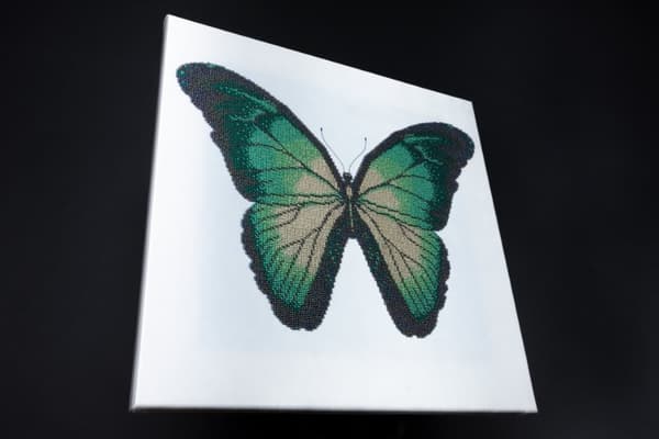 Pärlbroderi Brodera efter nummer Turquoise Butterfly