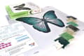 Miniatyrbild 7 av 7: Pärlbroderi Brodera efter nummer Turquoise Butterfly