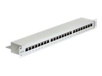 Delock - Patch-panel - RJ-45 X 24 - ljusgrå - 1U - 19"
