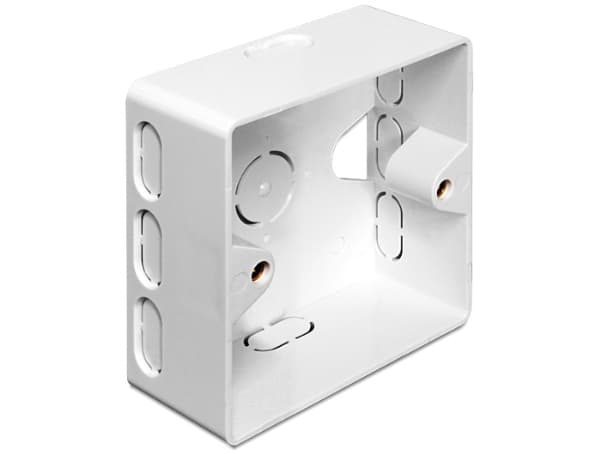 Delock Back Box - Ytmonteringsbox för nätverk - vit, RAL 9010