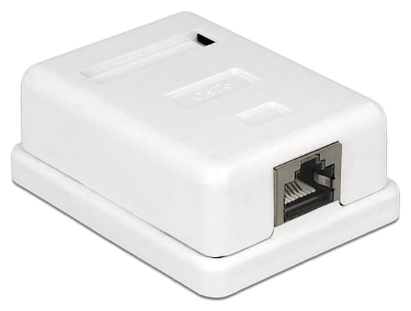 Delock - Overflatemonteringsboks for nettverk - CAT 6 - STP - RJ-45 - hvit