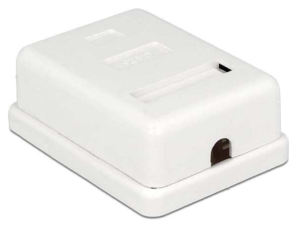 Delock - Overflatemonteringsboks for nettverk - CAT 6 - STP - RJ-45 - hvit