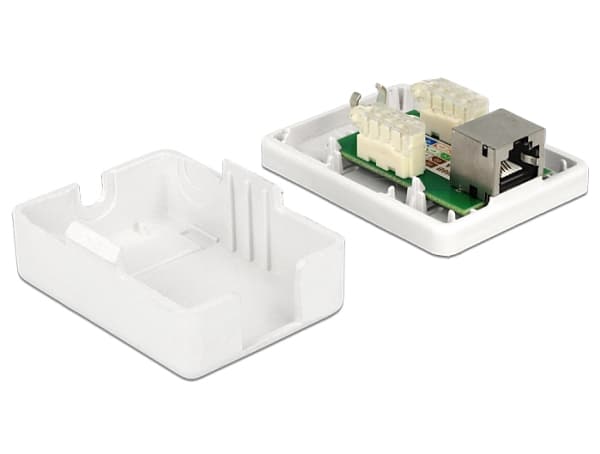 Delock - Overflatemonteringsboks for nettverk - CAT 6 - STP - RJ-45 - hvit