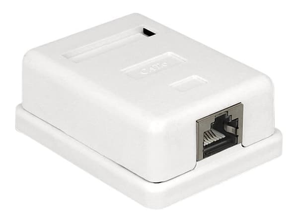 Delock - Overflatemonteringsboks for nettverk - CAT 6 - STP - RJ-45 - hvit