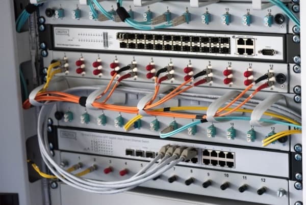 DIGITUS Professional DN-97601-2 - Rackkabelstyringspanel - lysegrå, RAL 7035 - 1U - 19"