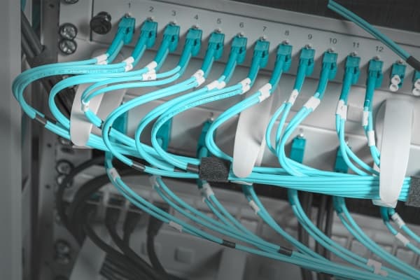 DIGITUS Professional DN-97601-2 - Rackkabelstyringspanel - lysegrå, RAL 7035 - 1U - 19"