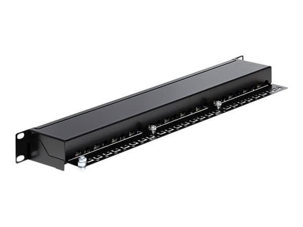 Delock - Patch-panel - CAT 6 - RJ-45 X 24 - svart - 1U - 19"