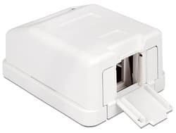 Delock Keystone Surface Mounted Box - Modulært innføringshus - hvit - 1 port