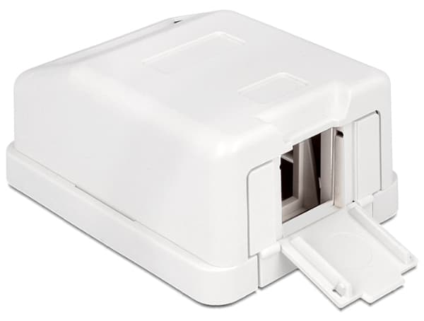 Delock Keystone Surface Mounted Box - Modulært innføringshus - hvit - 1 port