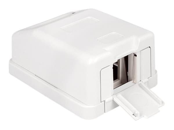 Delock Keystone Surface Mounted Box - Modulært innføringshus - hvit - 1 port