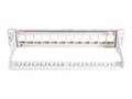 Miniatyrbilde 3 av 5: DIGITUS Professional DN-91419 - Koblingspanel - rackmonterbar - grå, RAL 7035 - 1U - 10" - 12 porter