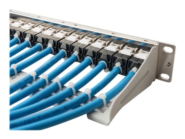 DIGITUS Professional DN-91419 - Koblingspanel - rackmonterbar - grå, RAL 7035 - 1U - 10" - 12 porter
